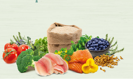 食物飲料處理器